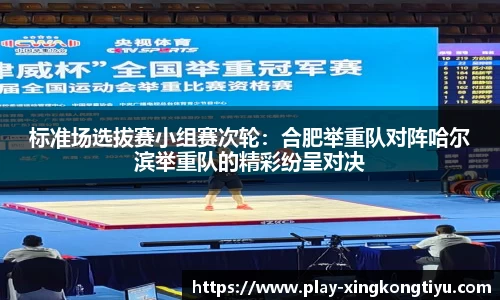 星空体育(china)官方网站 Starrysky Sports